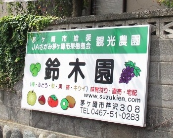 kuri6.jpg